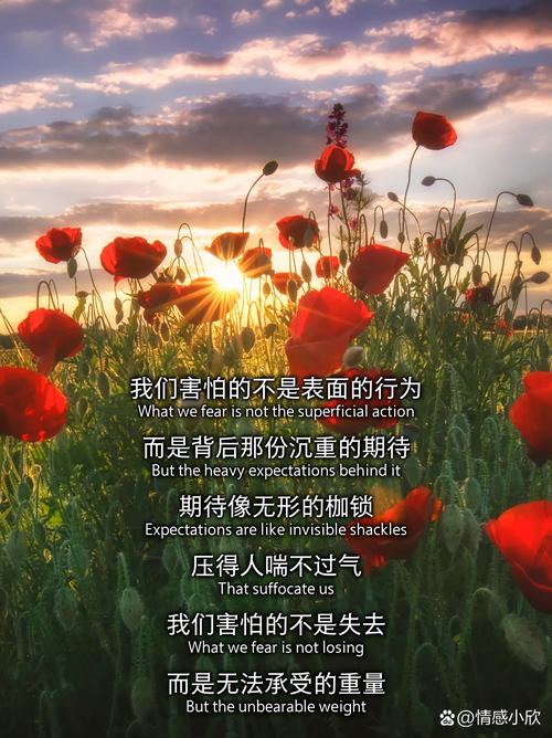 我们到底该期待什么，害怕什么