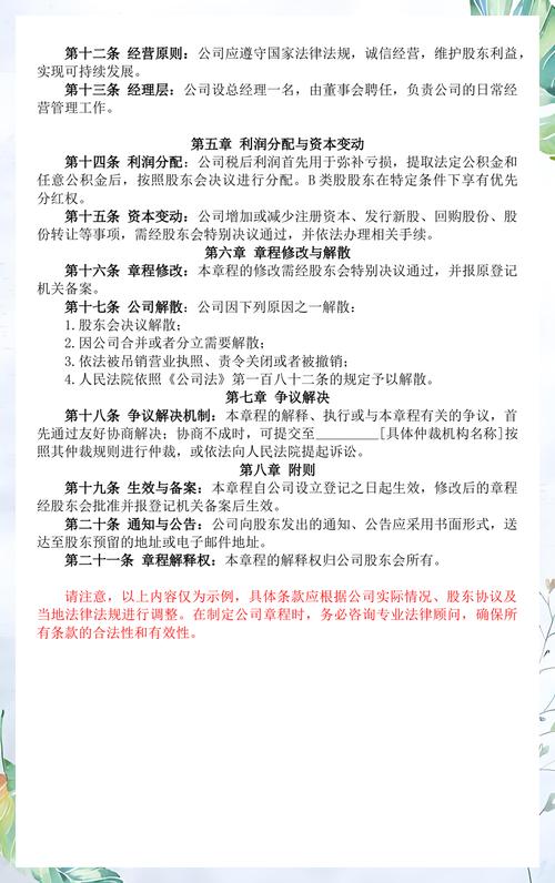 有限责任公司同股不同权章程约定条款示例