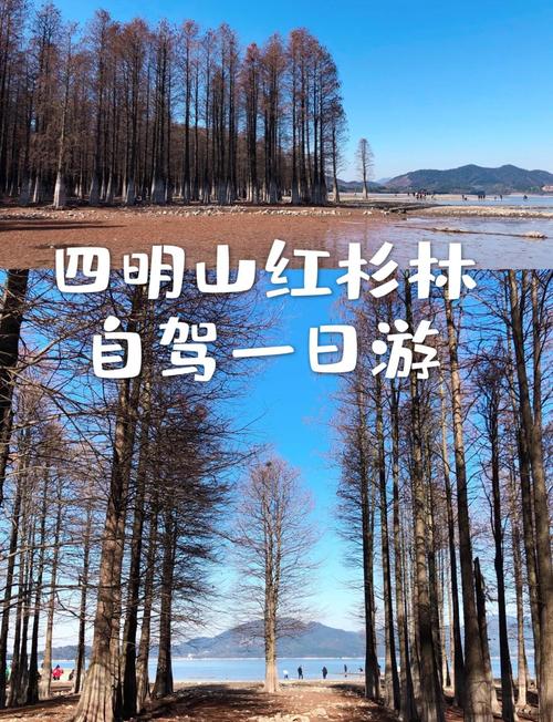 四、景点:免费才是硬道理