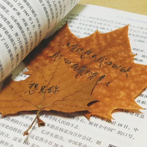 旧书本里夹着干枫叶的诗歌内页