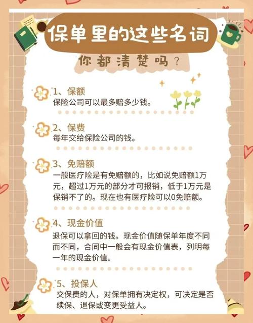 放手里才懂：保单持有阶段常用术语