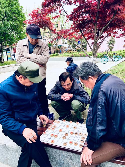 南昌绳金塔老樟树下象棋摊