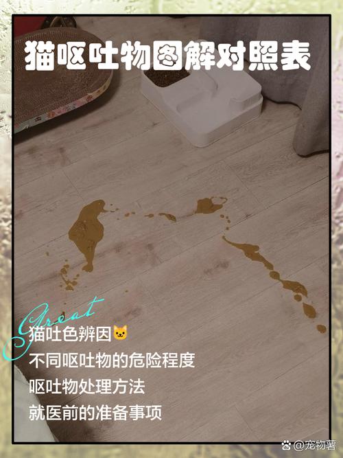 主人清理地毯上猫咪呕吐物