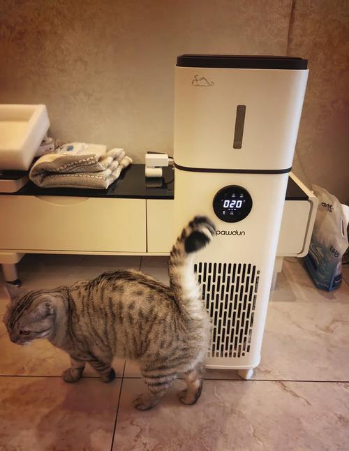 放在猫爬架侧边的HEPA空气净化器实拍