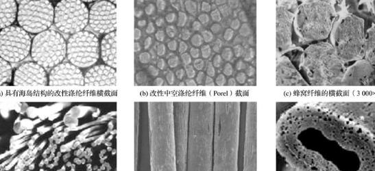 天然纤维复合材料吸湿断裂试样图