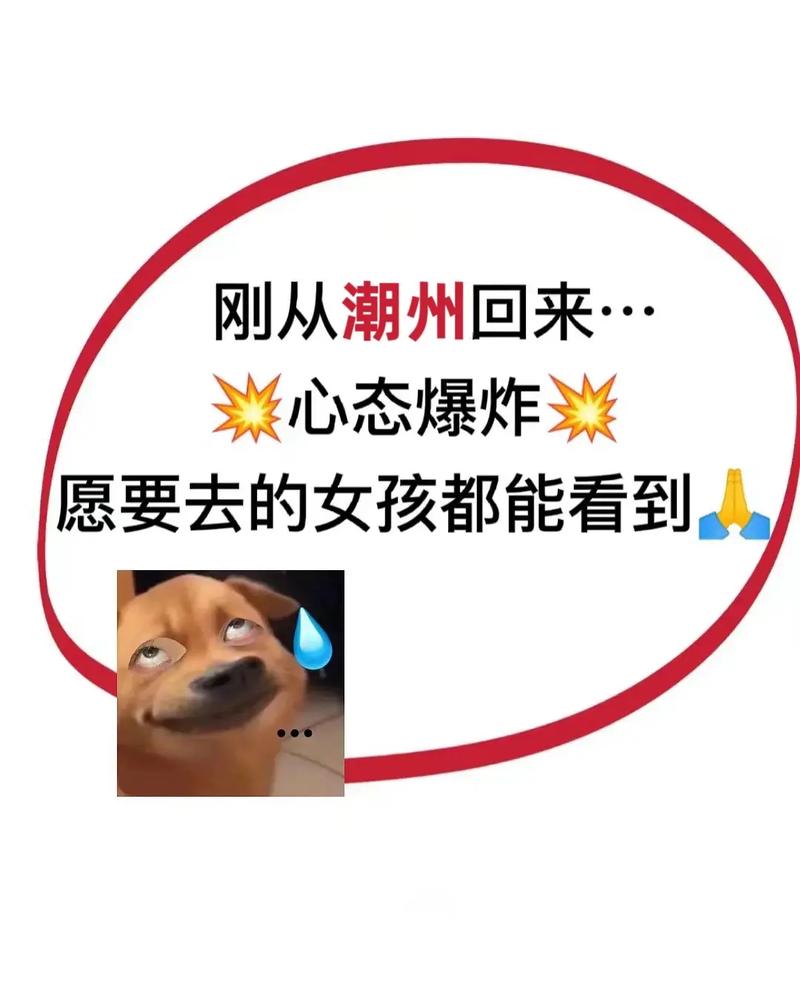 别再踩我踩过的雷了