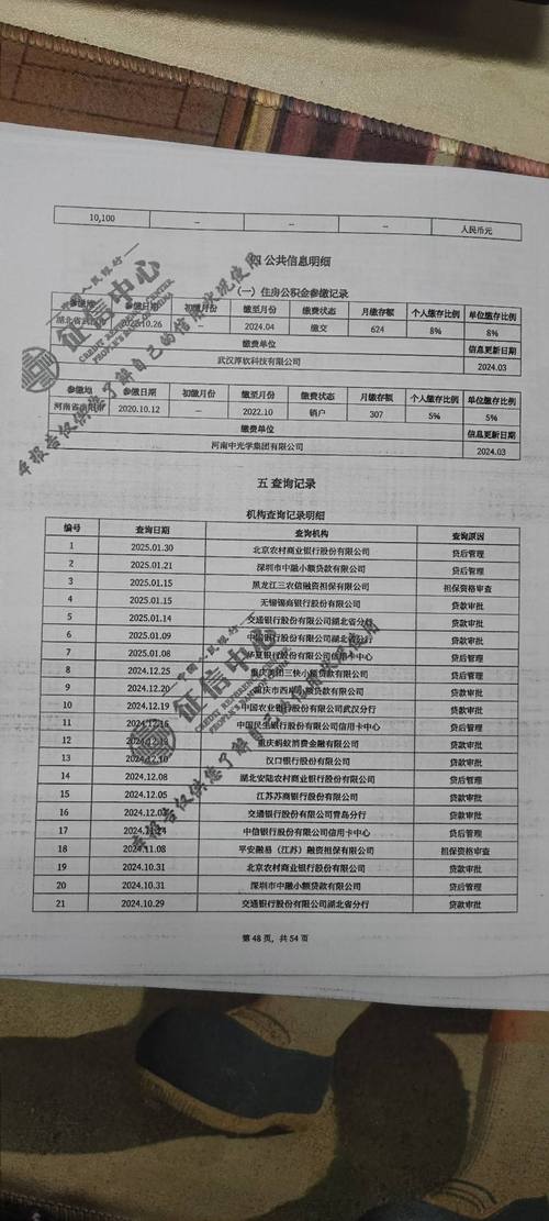 南京住房贷款征信认定查询单