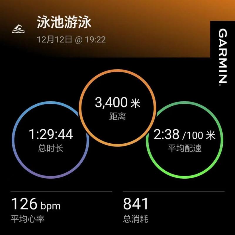 游泳池底部黑色标志线引导自由泳