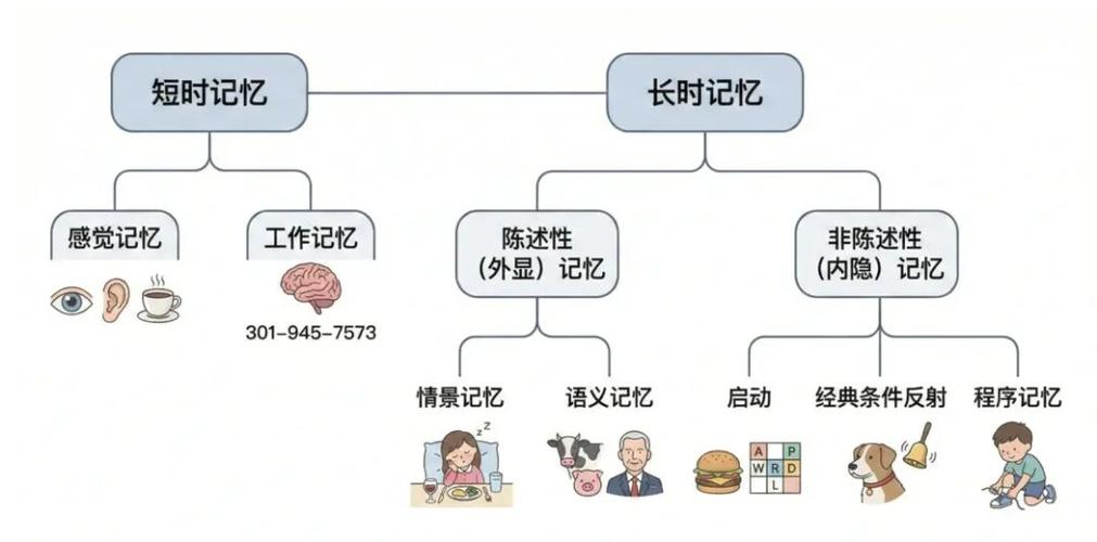 我们需要多少“不常用”的记忆