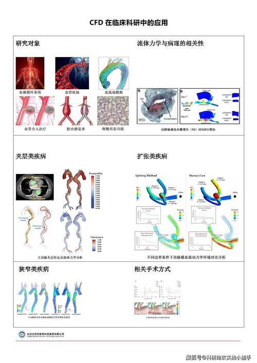 人工心脏血液流体力学模拟云图