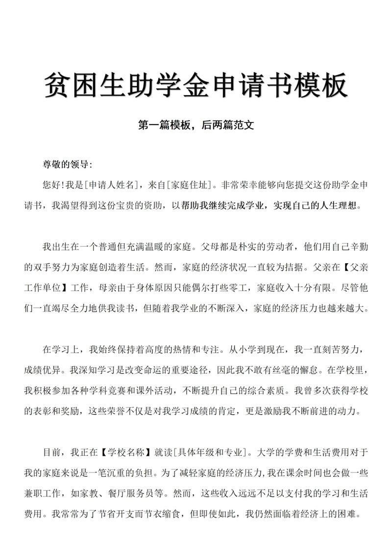 虚假助学金申请材料示例