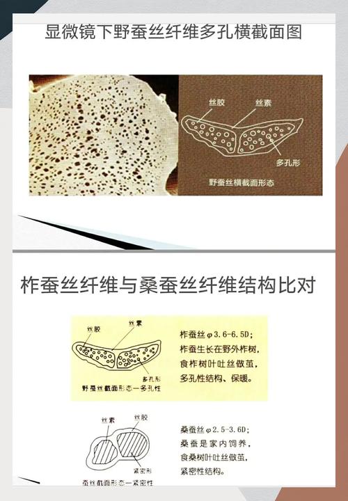 桑蚕丝纤维放大结构对比图