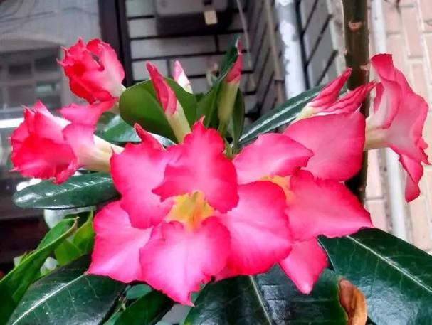 同居前花10分钟就能做的防护，别嫌麻烦