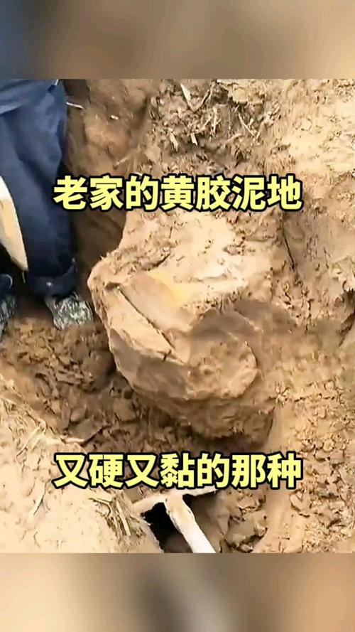 硬水泥和软黄土