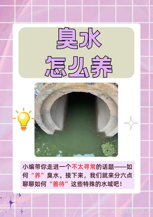 实用顾虑：脏不脏？环保吗？后悔了咋办？