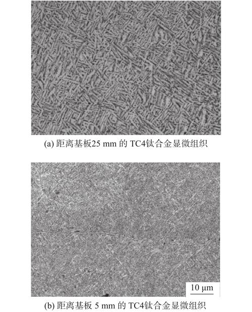 EBM成型不同粒度TC4粉的金相组织对比图