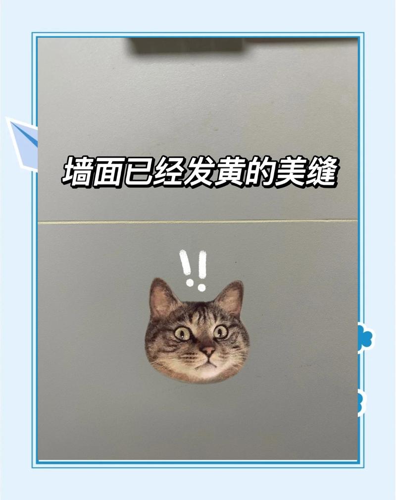 颜色、脱落、发黄，那些年踩过的坑