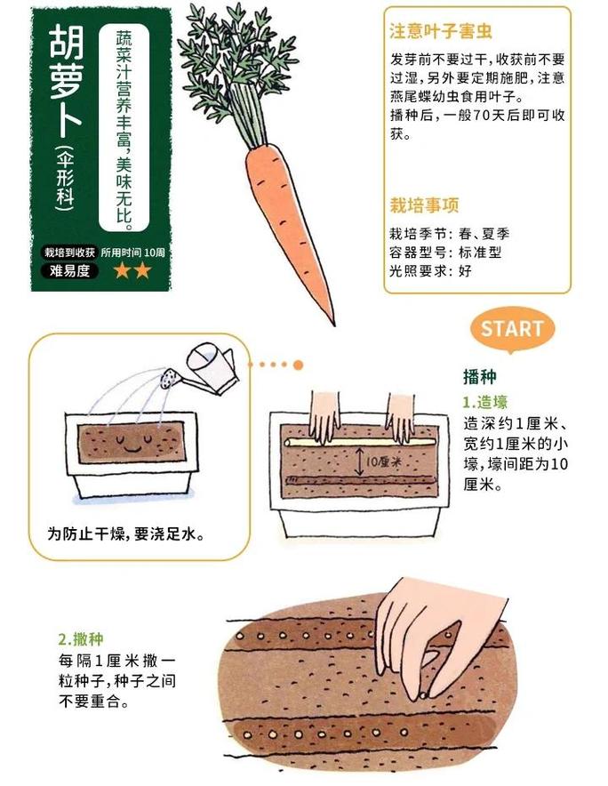 适量栽种,到底怎么把握度?