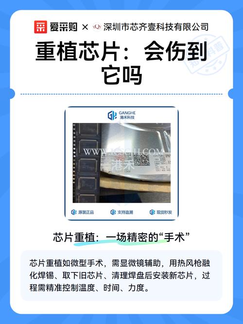 植了芯片，就一定能找回家吗