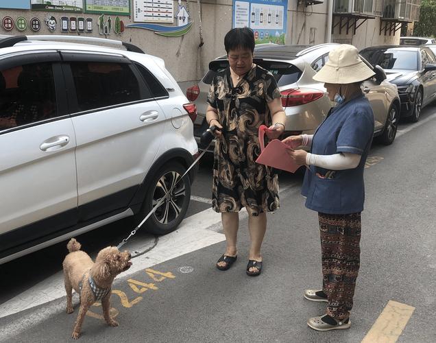 城市文明遛狗牵绳场景实拍图