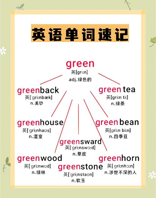 小学生英语默写本上涂绿的green单词