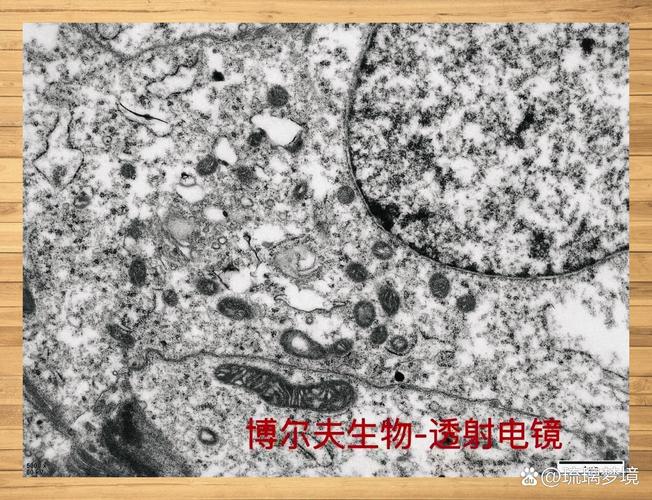 多层膜:被忽略的层间界面那点事儿-仓储物流设备,钢托盘生产销售厂家