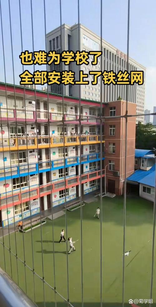 学校是最后的安全网,但这张网千疮百孔