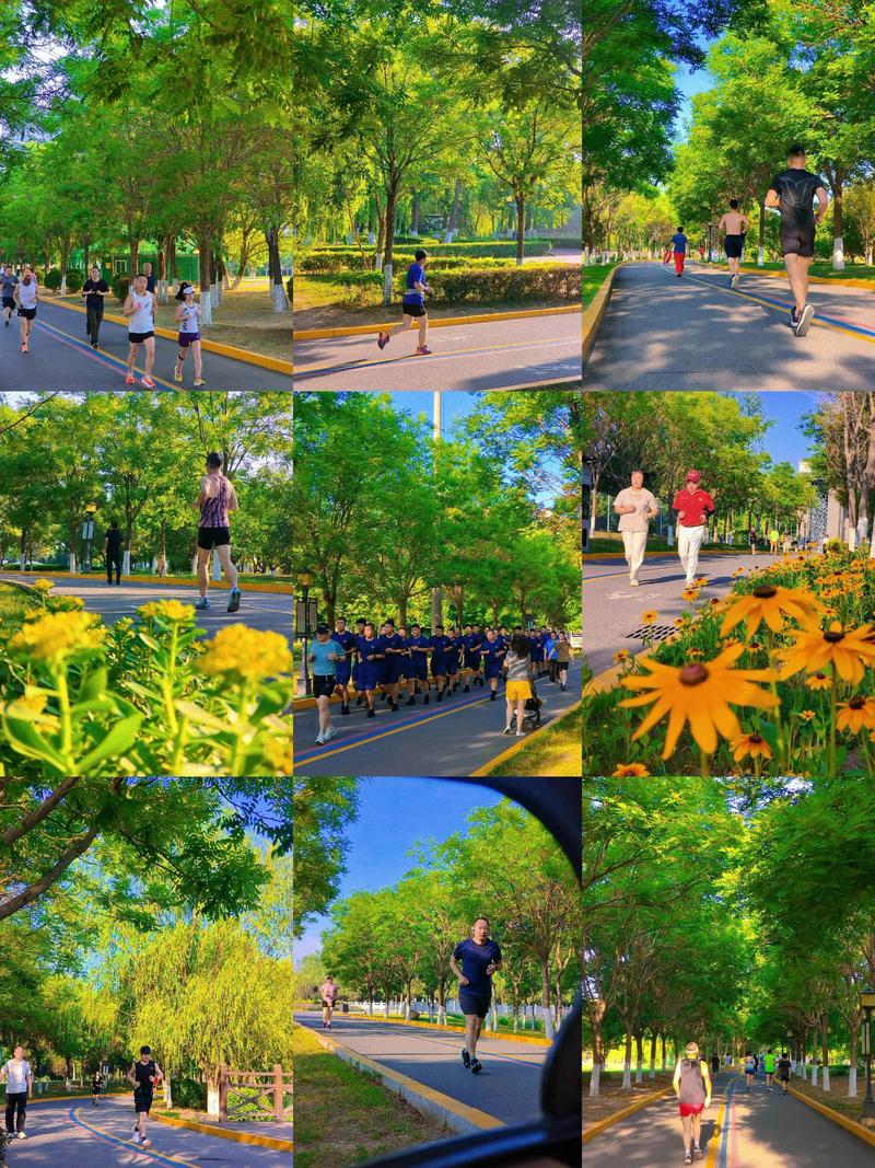 公园里跑步散步的成年人日常场景