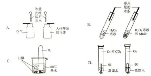 过氧化氢酶分解双氧水实验图