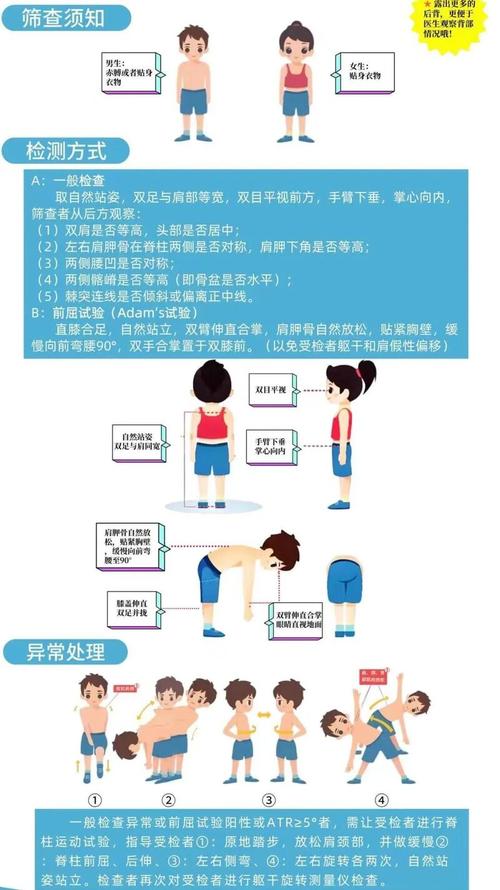 青少年居家做脊柱侧弯弯腰筛查示意图