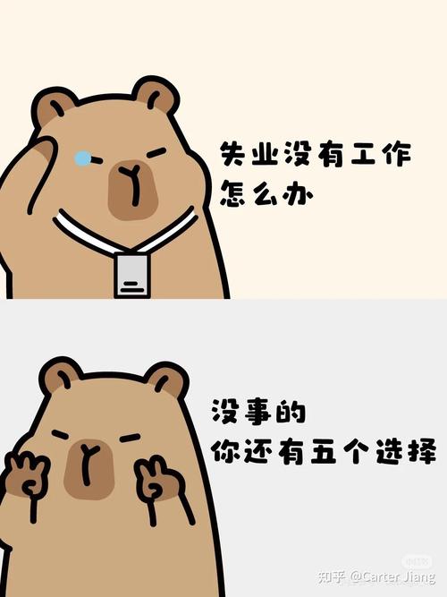求职者面对大公司和小公司选择时的纠结表情包