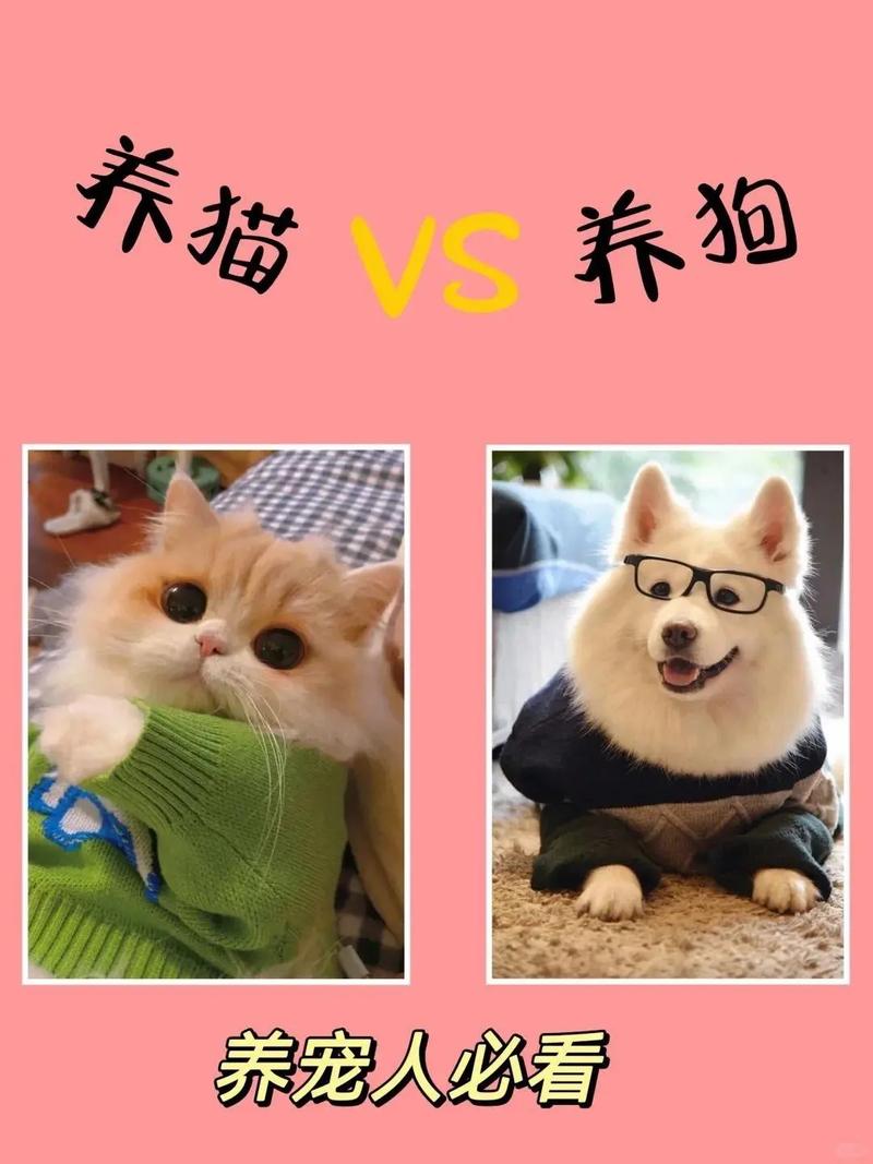 怎么选?养狗还是养猫?坦白局