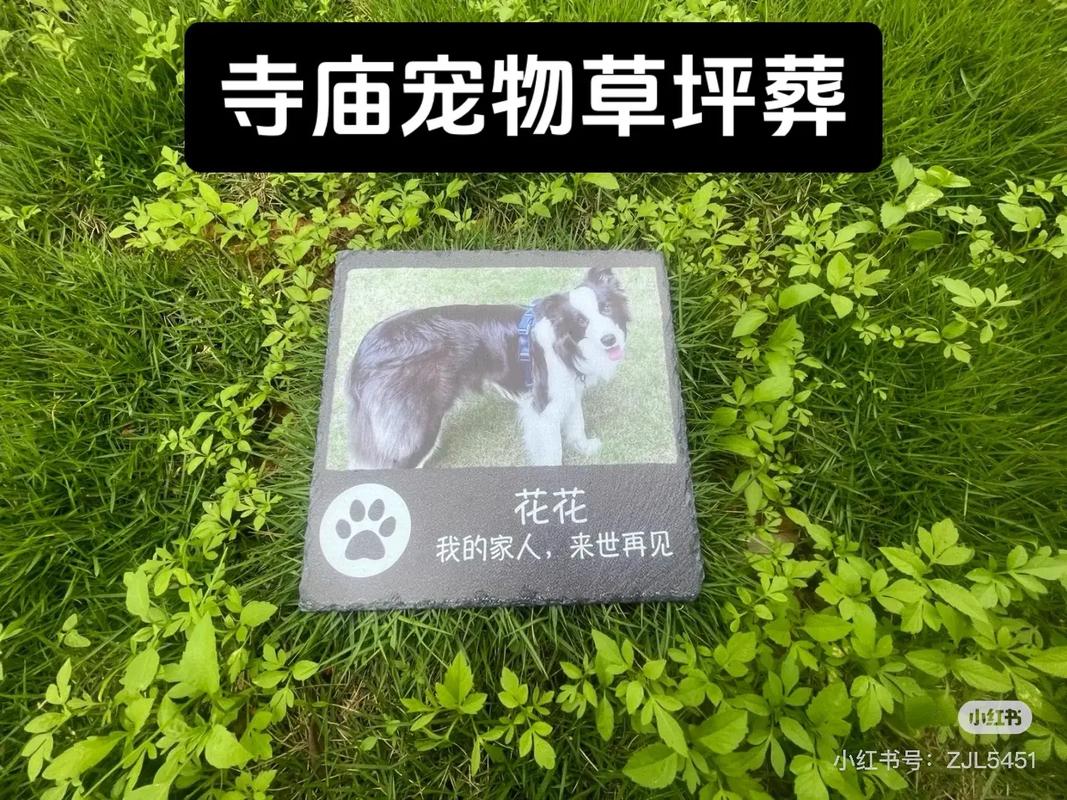 家庭在花园里为宠物金毛举行告别仪式埋骨种树