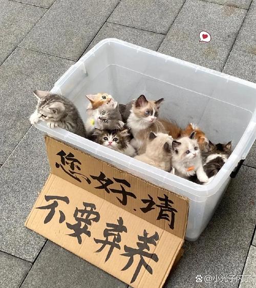 有了箱子,还得会“养”