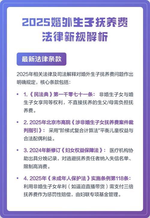抚养费的法律属性界定