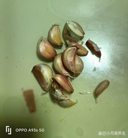 我被一根葱拿捏了二十年-因为所以