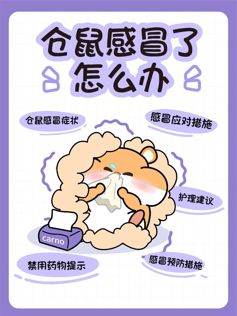 医学突破：小鼠又双叒被治愈了，但我只想感冒快点好