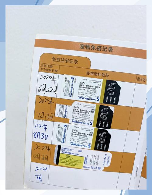 宠物犬细小病毒疫苗接种时间手写记录表