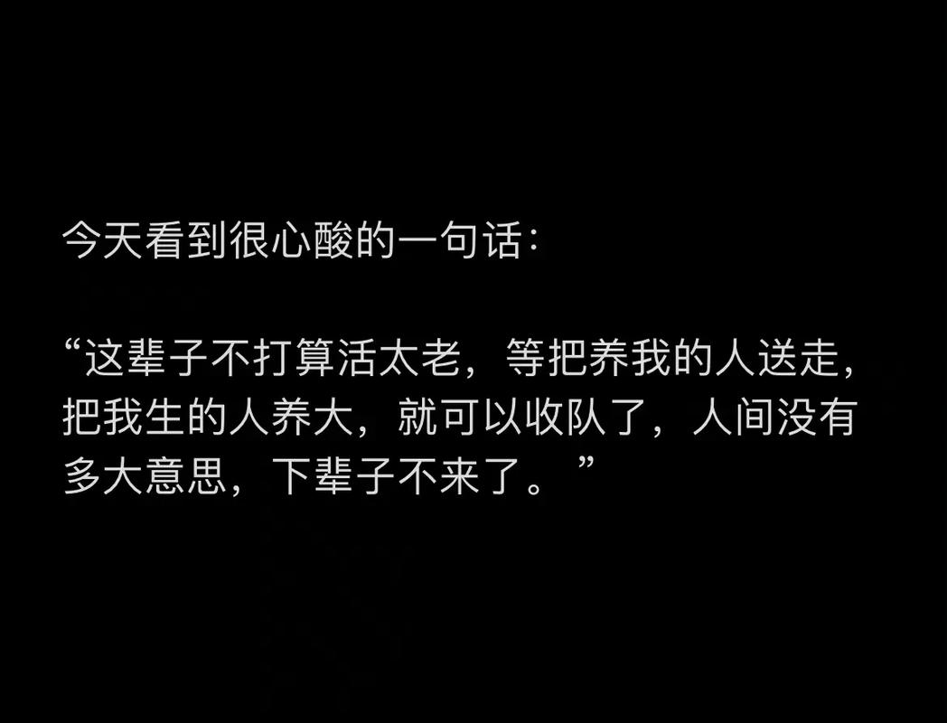 进口替代风口下，藏着没人愿意说的老问题