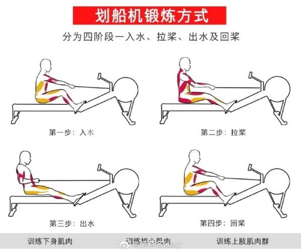 划船前热身动作示意图