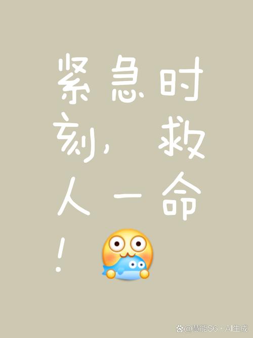 🎯 特别提醒