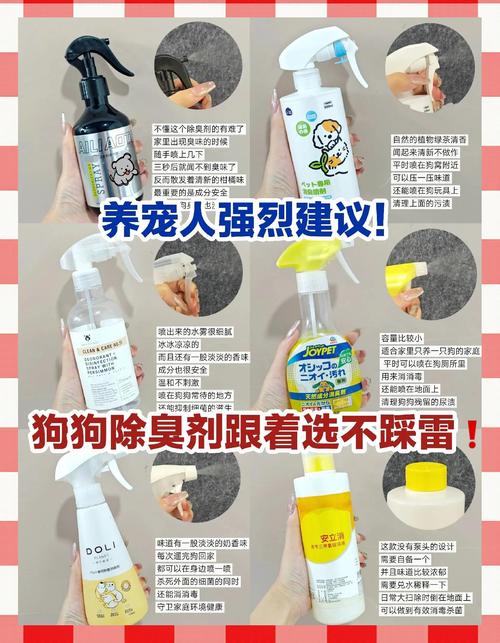那些白费力的宠物除臭误区，你中了几个？