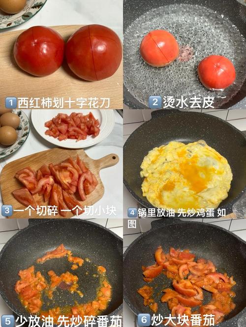 说明文时间顺序制作番茄炒蛋步骤图