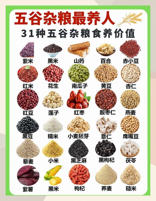 各种中国传统五谷杂粮养生食材图