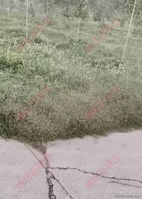 夏季户外草丛蚊子出没场景图