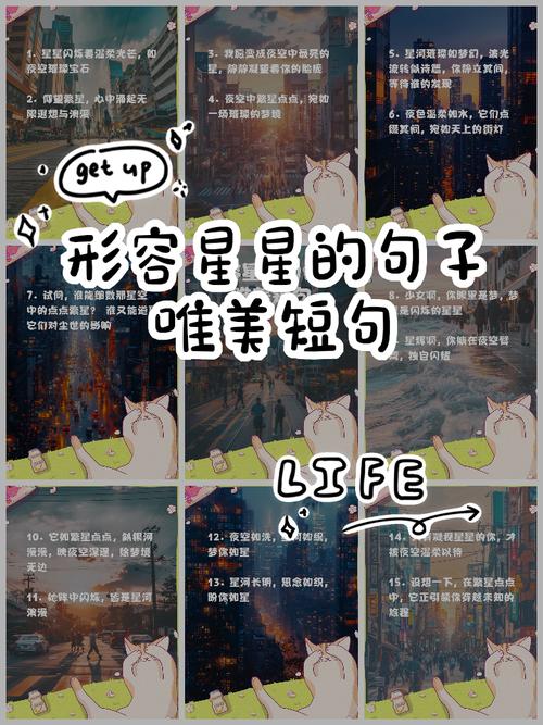 🌟 最后说句大实话