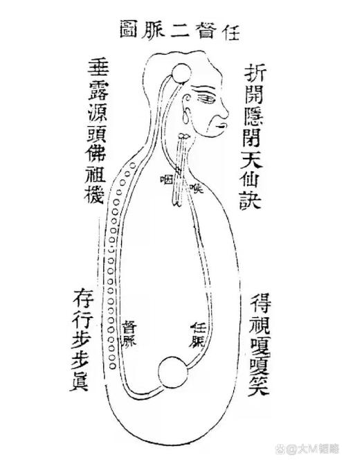 我试着用一个橘子打通了任督二脉