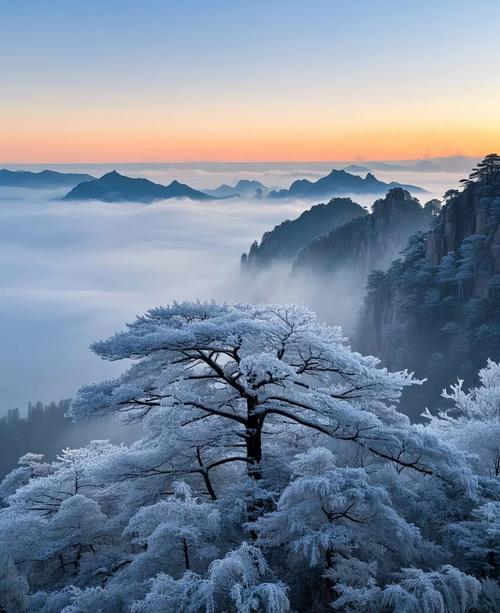 黄山冰凌雾凇景观