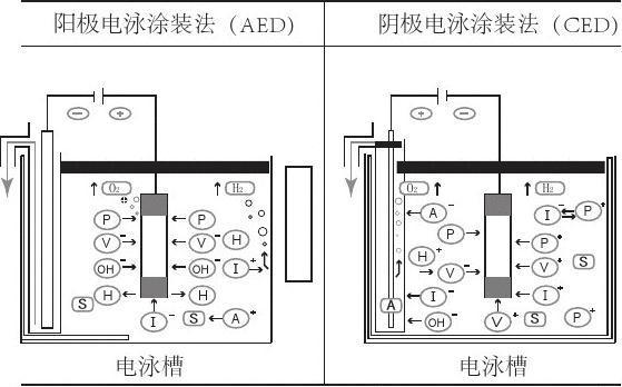 阴极电泳与阳极电泳原理对比图