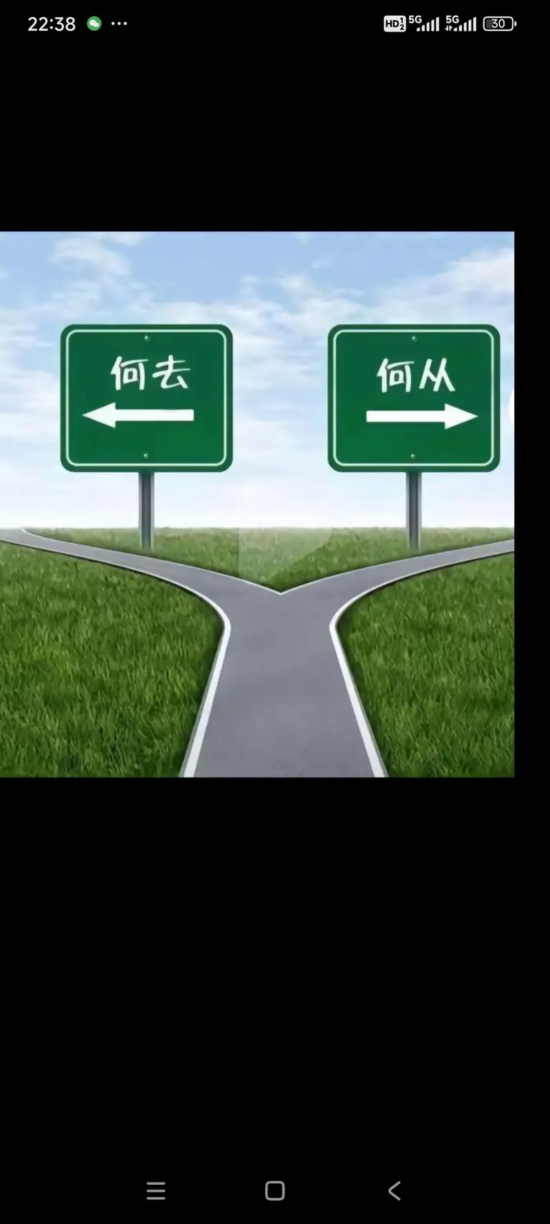 替代之路在何方